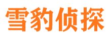 江岸外遇调查取证